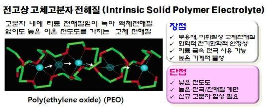 전고상 고분자 전해질의 개념도 및 장·단점