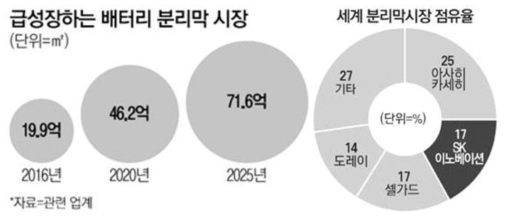 분리막 시장 규모 및 점유율 현황