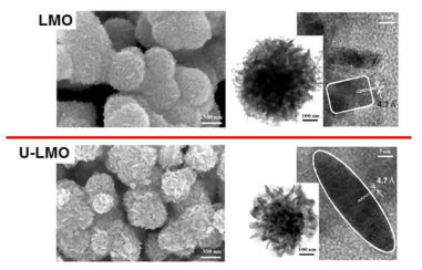 LMO와 U-LMO의 SEM 및 HRTEM 이미지 분석
