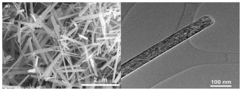 β-MnO2 나노막대의 SEM과 TEM 사진