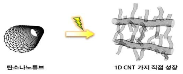 탄소나노튜브를 지지체로 한 1차원 탄소나노소재 직접 가지화 성장
