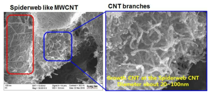 거미줄 형태의 MWCNT를 지지체로 1차원 탄소나 노소재 직접 가지화 SEM 이미지