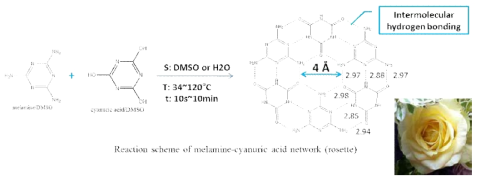 MCA 형성 메커니즘 : 1 : 1 수소결합을 통해 장미꽃 (rosette) 구조 형성