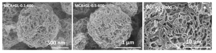 MCA : glucose (1 : 0.1, 0.5, 1) 함량에 따른 미세구조의 변화