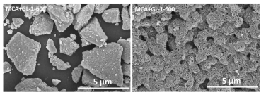 MCA+GL-600 (1 : 1)의 SEM images