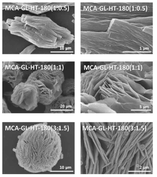 MCA : GL 비율 (2 : 1, 1 : 1, x : 1)에 따른 SEM image