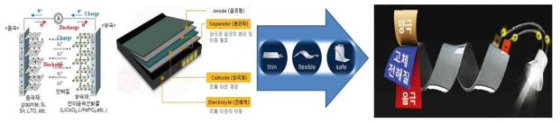 플렉서블 리튬이차전지