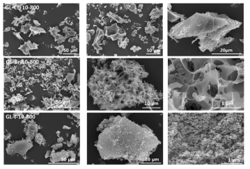 용융염의 종류에 따른 카본 구조의 SEM images