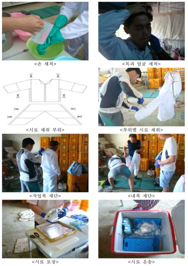 시료 채취부위 및 시료 채취 장면