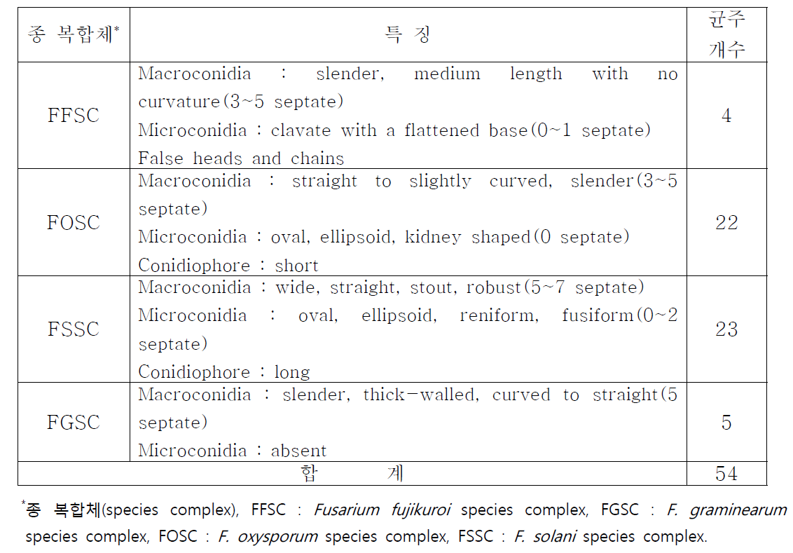 국내 콩 시들음 증상에서 분리한 54개 Fusarium속 균주의 분류