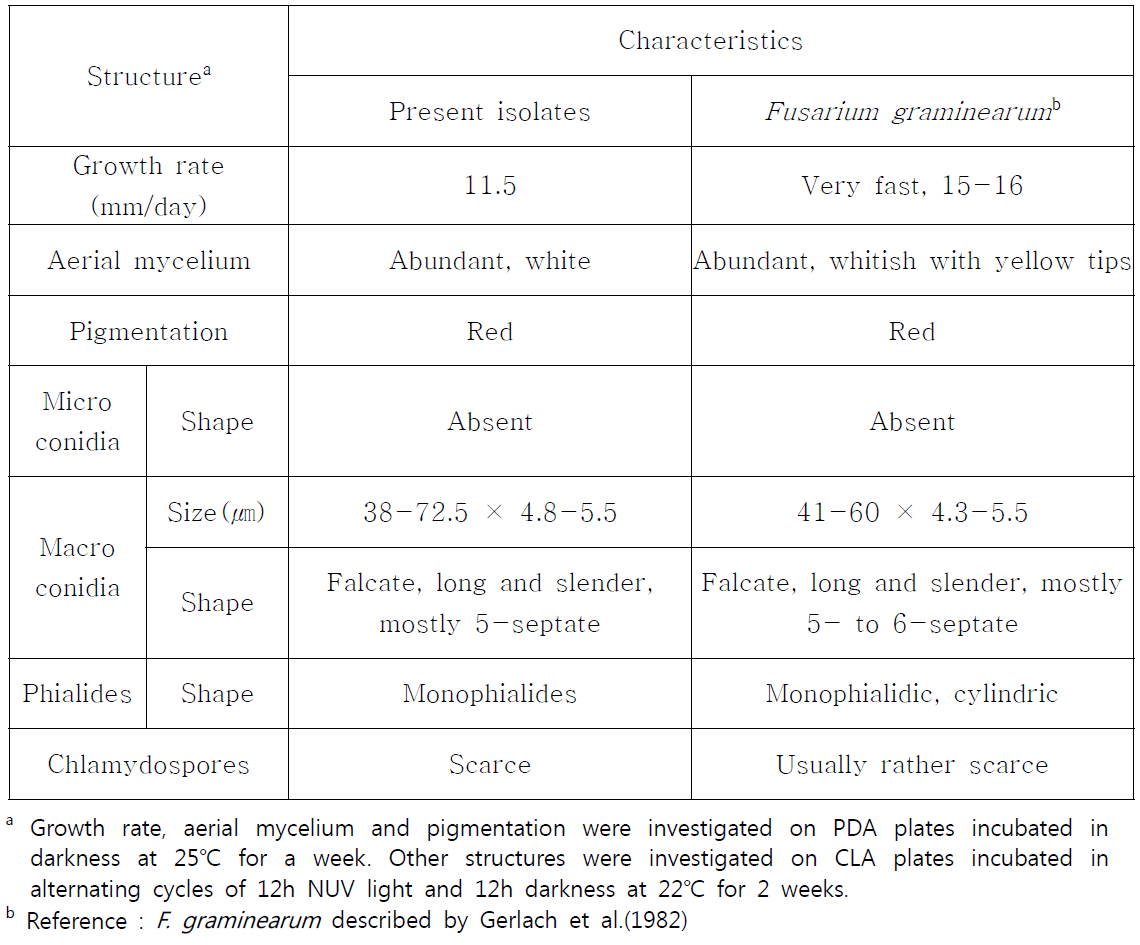 콩에서 분리한 F. graminearum NC14-331 균주의 균학적 특성 및 표준균주 비교