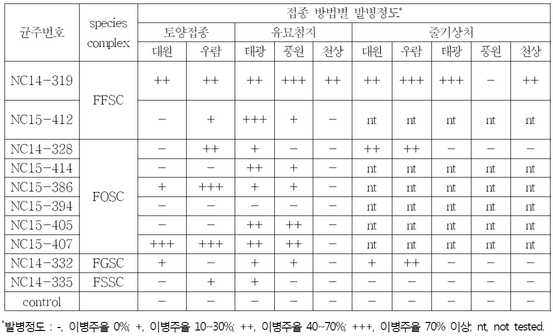 병원성 검정법 확립을 위한 접종방법별 콩 시들음병 발병정도 비교