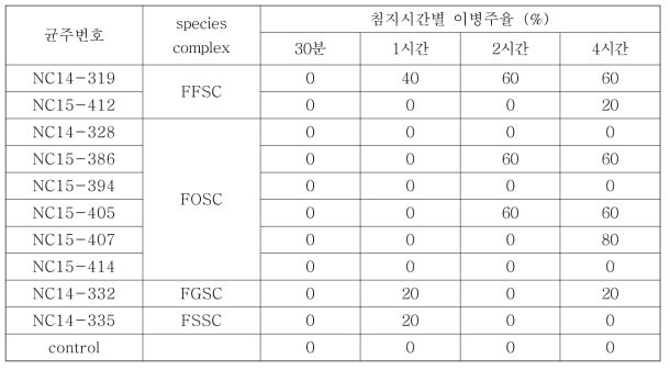 유묘 침지 시간에 따른 콩 시들음 발병정도 비교