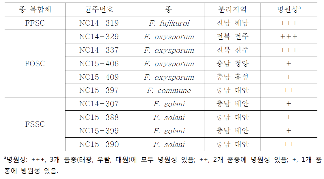 콩 시들음 증상에서 분리한 Fusarium균 대표균주 목록