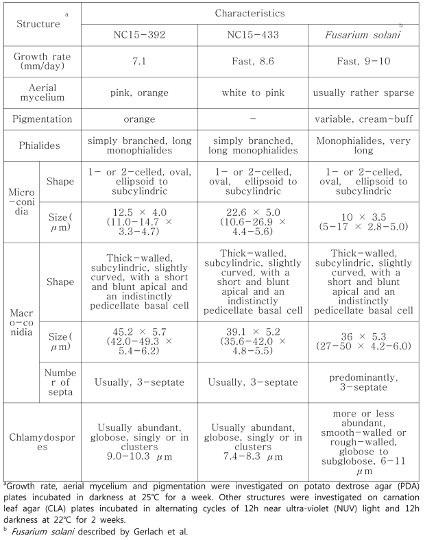 리시안서스 뿌리썩음 증상에서 분리한 F. solani NC15-392, NC15-433 균주의 균학적 특성 및 표준균주 비교