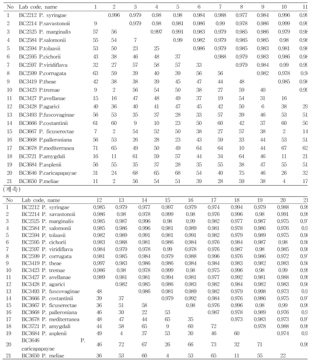 Similarity coefficients and sequence differences derived from 23S rRNA sequences of plant pathogenic Pseudomons spp