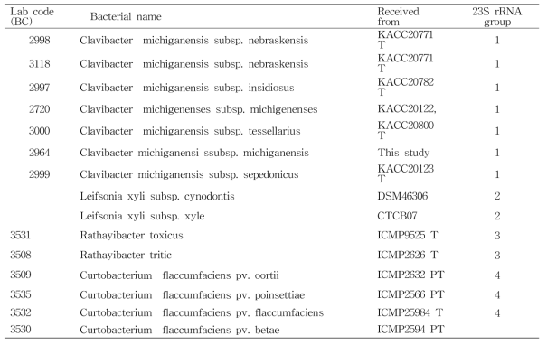 Strain names of organisms investigated and 23S rRNA group
