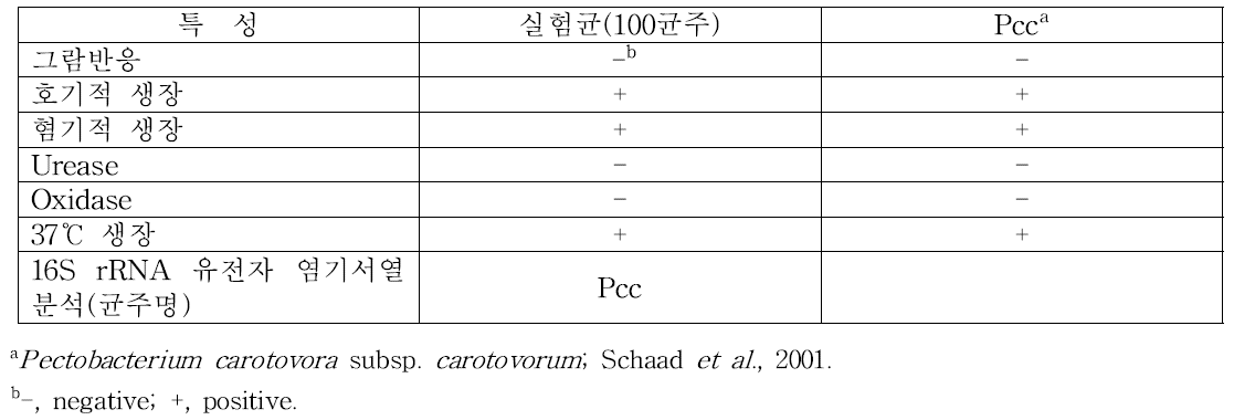 고랭지 지역에서 분리된 배추무름병균의 배양적, 생리·생화학적 특성