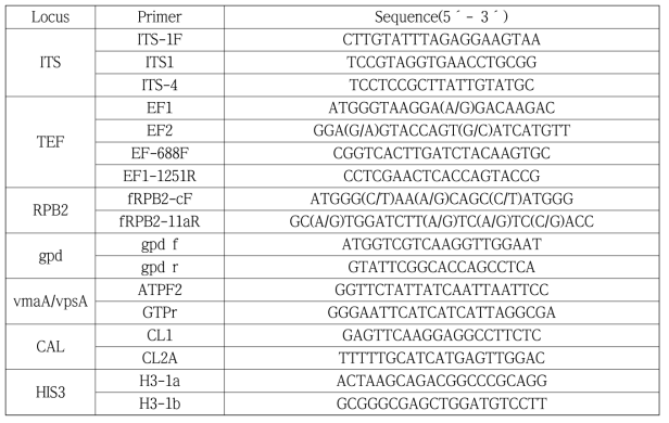 본 연구에서 사용한 프라이머와 시퀀스 목록