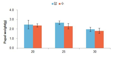 주홍박각시 온도별 번데기 무게 비교