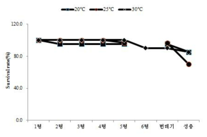 큰쥐박각시 온도별 생존율 비교