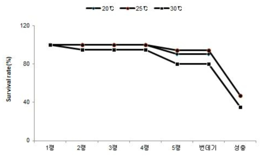 주홍박각시 온도별 생존율 비교