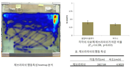 펠렛사료(흰점박이꽃무지, 박각시)에 대한 제브라피쉬의 행동 특성 분석