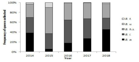 2014-2018년(5년)간 채집 또는 관찰된 월동 여왕뒤영벌의 빈도분포