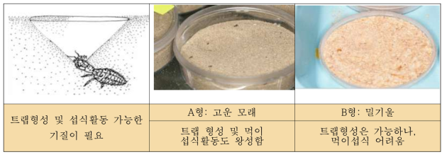 맵시명주잠자리 유충의 기질에 따른 트랩 형성과 섭식