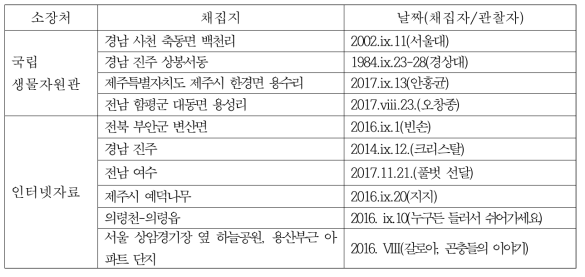 청솔귀뚜라미 소장표본 및 인터넷 정보조사