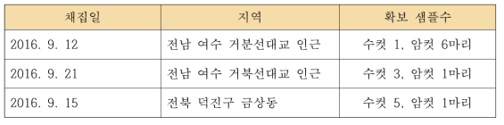 청솔귀뚜라미 채집 현황