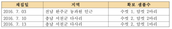 긴날개여치의 채집 기록