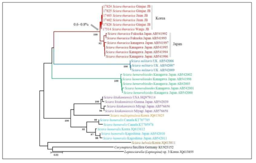 주홍가슴검정날개버섯파리의 DNA 바코드 분석 결과