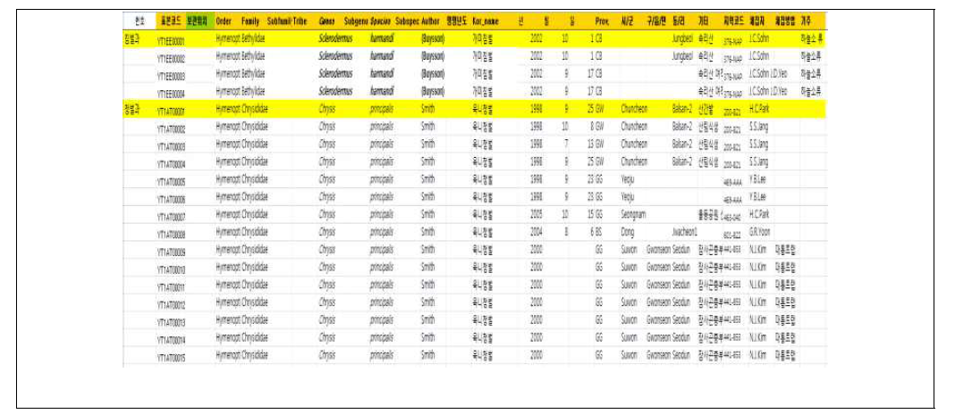 32과 479종 8677 개체에 대한 표본 정보 17개 항목 엑셀 기반 DB 구축 일부 예시