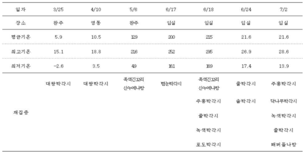 나방류 대형 유충