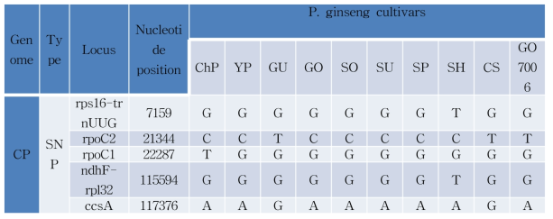 고려인삼 9 품종과 G07006 계통의 엽록체 유전체 서열 변이 결과