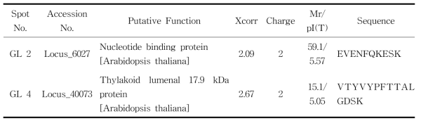 Proteins identified by LC-MS/MS