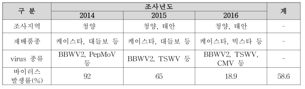 고추의 바이러스 조사 결과