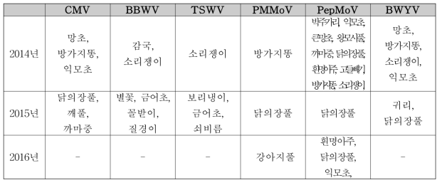 고추밭 주변 수집 잡초의 종류에 따른 바이러스 검정 결과