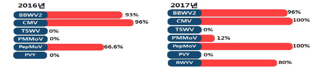 ‘16년-’17년 경북 고추포장 바이러스 발생 현황