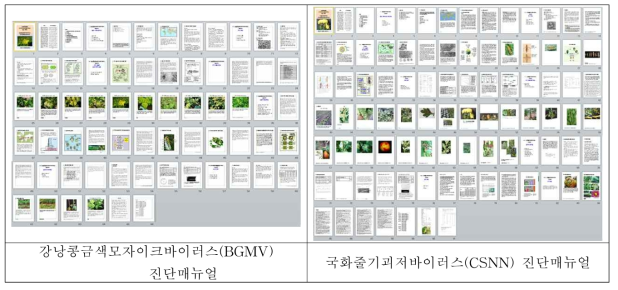 강낭콩금색모자이크바이러스와 국화줄기괴저바이러스 진단 매뉴얼 개발