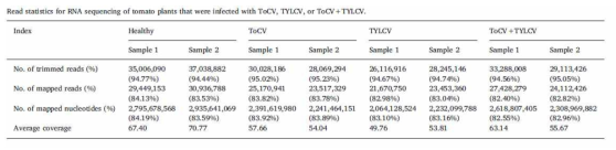 RNA-Seq 분석 결과에 대한 Read 데이터의 통계 분석