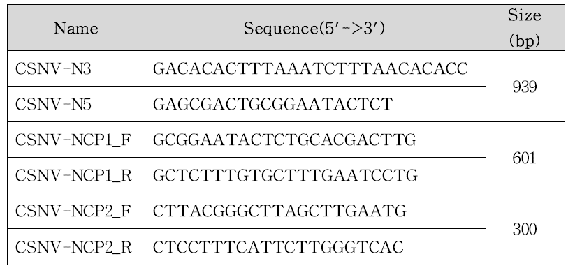 CSNV 진단용 프라이머