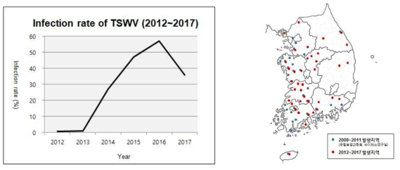 TSWV 발생 그래프 및 분포지도