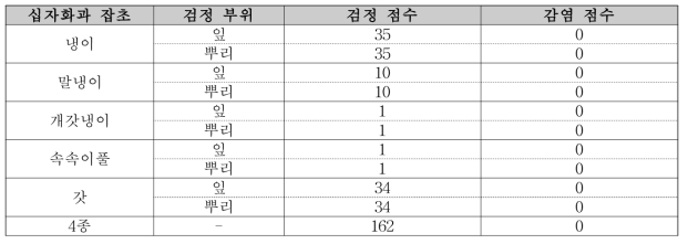 순무황화모자이크바이러스(TYMV) 과거 발생지 십자화과 잡초 검정 및 기주현황