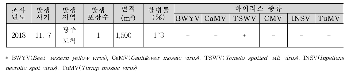 상추 바이러스 진단