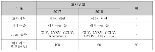 마늘의 바이러스 조사 결과