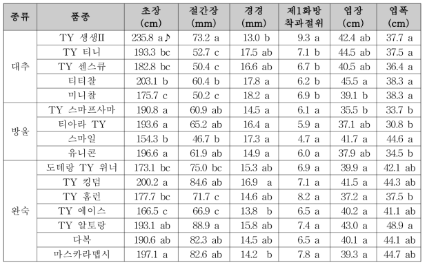 토마토 품종별 생육 특성