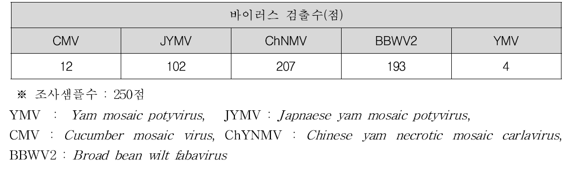 마에 발생하는 바이러스 종동정