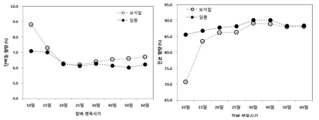 찰벼의 출수 후 등숙기간에 따른 단백질 및 전분 함량 차이 비교